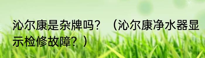 沁尔康是杂牌吗？（沁尔康净水器显示检修故障？）