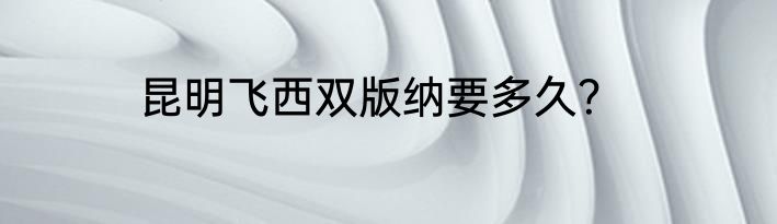 昆明飞西双版纳要多久？