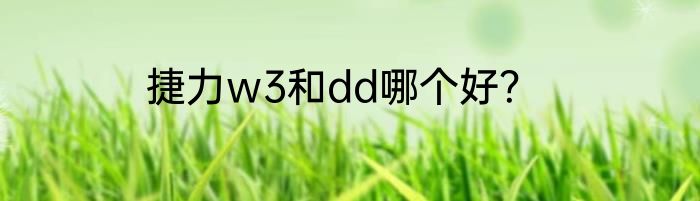 捷力w3和dd哪个好？