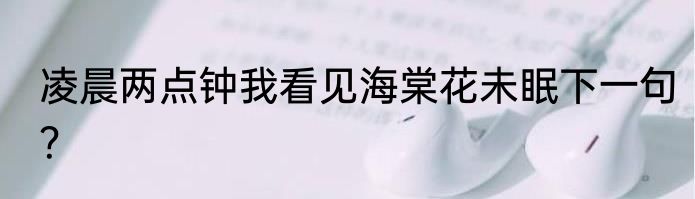 凌晨两点钟我看见海棠花未眠下一句？