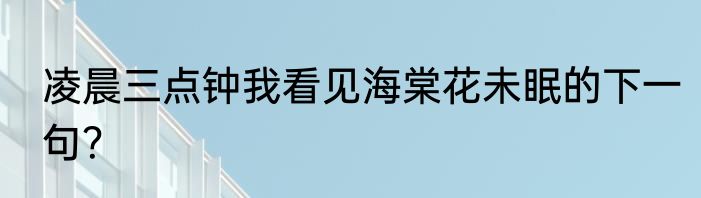凌晨三点钟我看见海棠花未眠的下一句？
