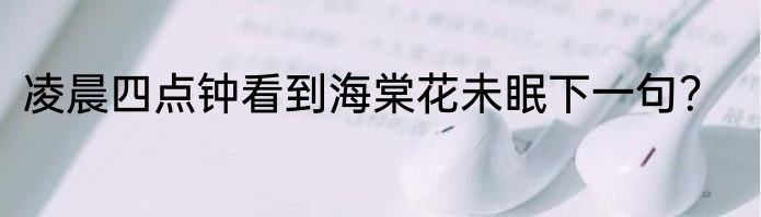 凌晨四点钟看到海棠花未眠下一句？