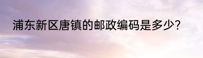 浦东新区唐镇的邮政编码是多少？