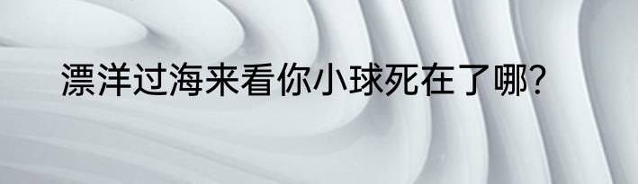 漂洋过海来看你小球死在了哪？