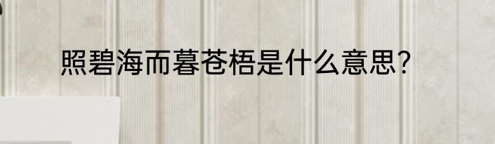 照碧海而暮苍梧是什么意思？