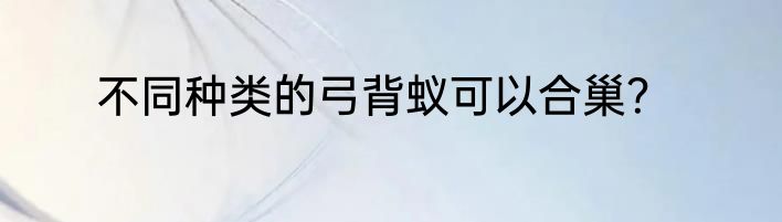 不同种类的弓背蚁可以合巢？