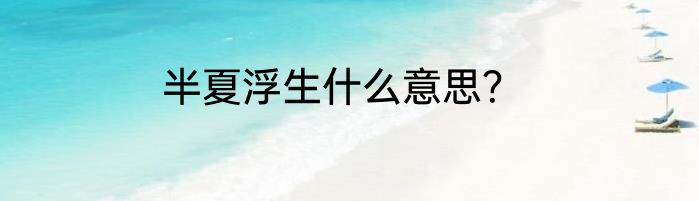半夏浮生什么意思？