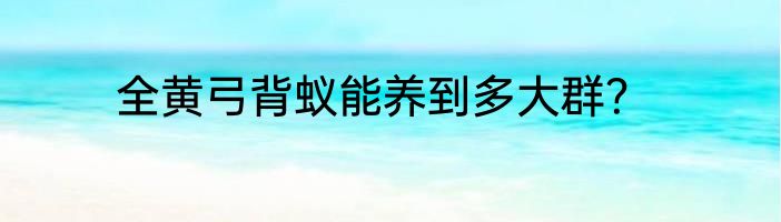 全黄弓背蚁能养到多大群？