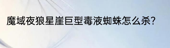 魔域夜狼星崖巨型毒液蜘蛛怎么杀？