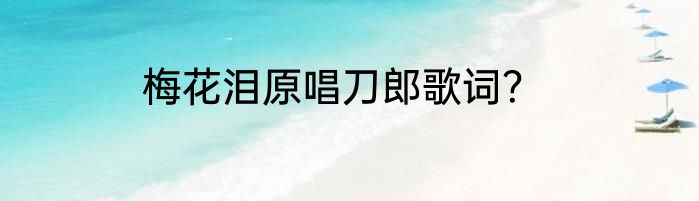 梅花泪原唱刀郎歌词?