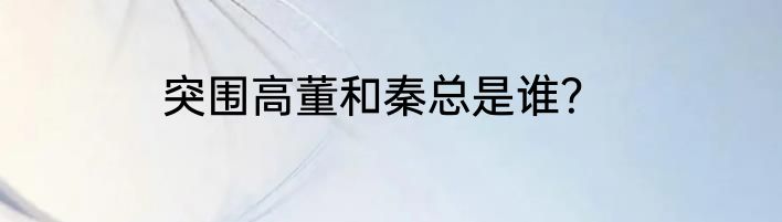 突围高董和秦总是谁？