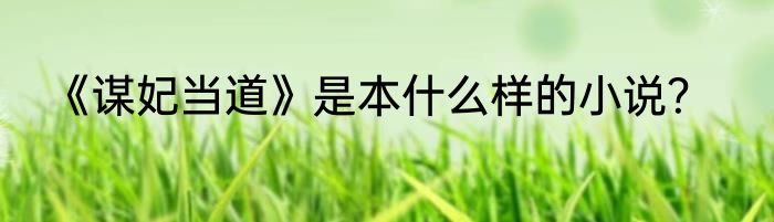 《谋妃当道》是本什么样的小说？