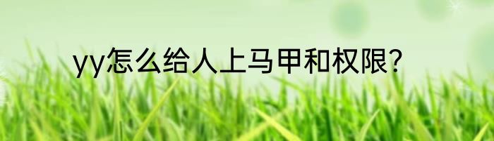 yy怎么给人上马甲和权限？