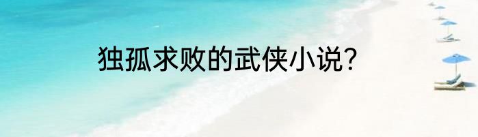 独孤求败的武侠小说？