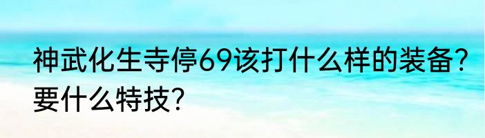 神武化生寺停69该打什么样的装备?要什么特技？