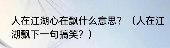人在江湖心在飘什么意思？（人在江湖飘下一句搞笑？）