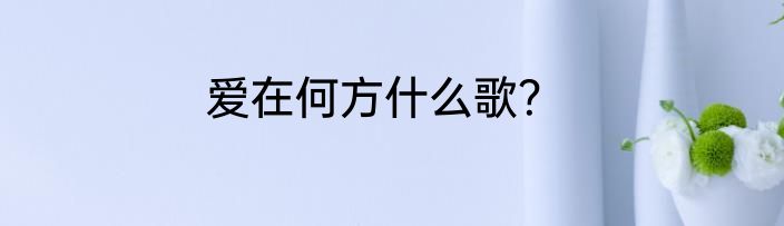 爱在何方什么歌？