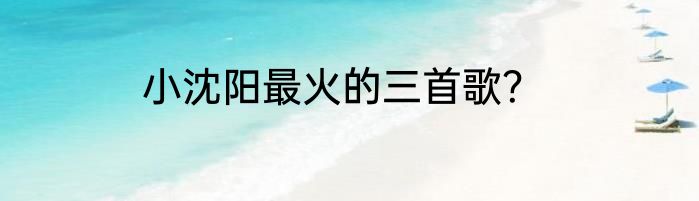 小沈阳最火的三首歌？