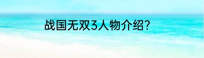 战国无双3人物介绍？