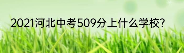 2021河北中考509分上什么学校？