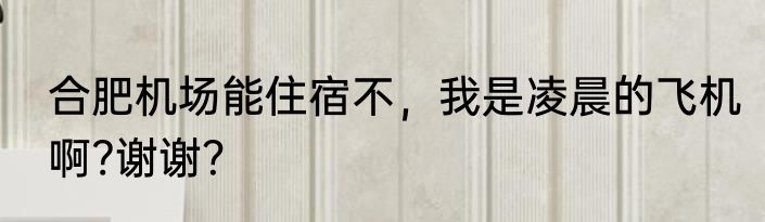 合肥机场能住宿不，我是凌晨的飞机啊?谢谢？