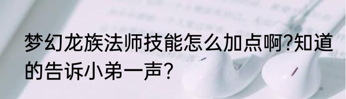 梦幻龙族法师技能怎么加点啊?知道的告诉小弟一声？