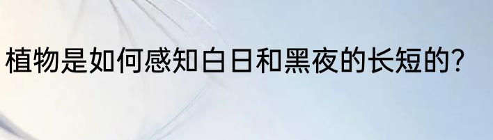 植物是如何感知白日和黑夜的长短的？