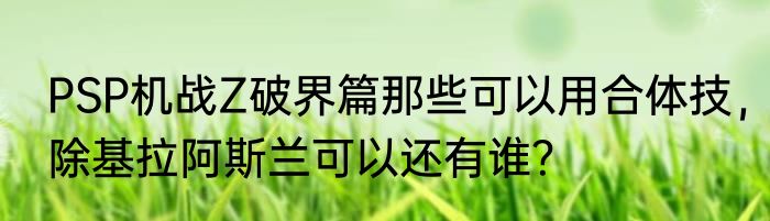 PSP机战Z破界篇那些可以用合体技，除基拉阿斯兰可以还有谁？
