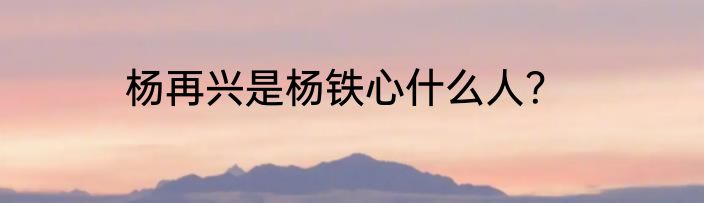 杨再兴是杨铁心什么人？