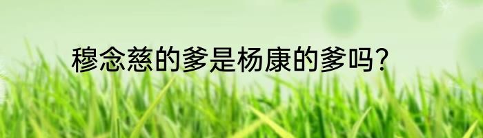 穆念慈的爹是杨康的爹吗？