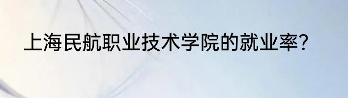 上海民航职业技术学院的就业率？
