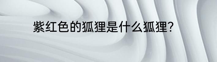 紫红色的狐狸是什么狐狸？