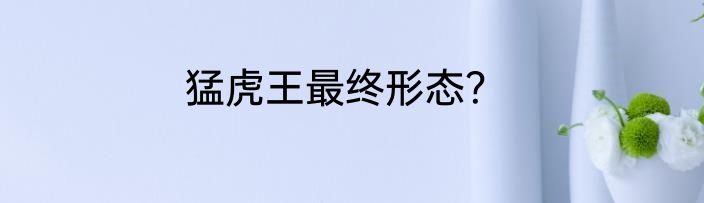 猛虎王最终形态？