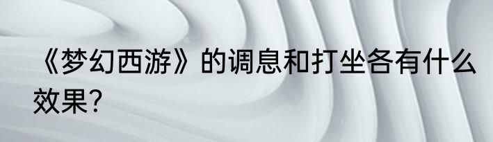 《梦幻西游》的调息和打坐各有什么效果？
