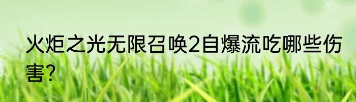 火炬之光无限召唤2自爆流吃哪些伤害？