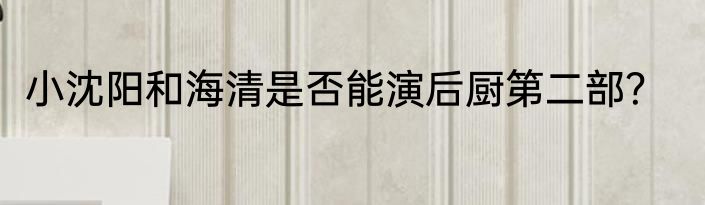 小沈阳和海清是否能演后厨第二部？