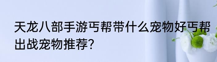 天龙八部手游丐帮带什么宠物好丐帮出战宠物推荐？