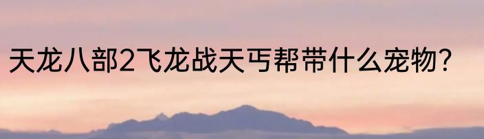 天龙八部2飞龙战天丐帮带什么宠物？