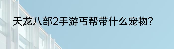 天龙八部2手游丐帮带什么宠物？