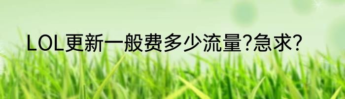LOL更新一般费多少流量?急求？