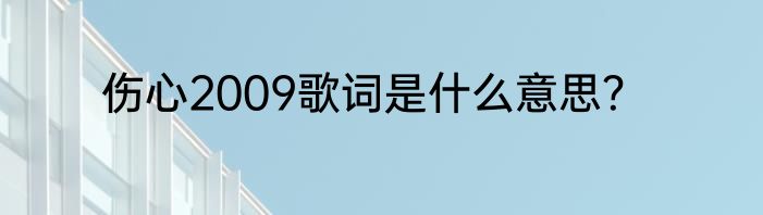伤心2009歌词是什么意思？