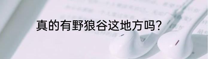 真的有野狼谷这地方吗？