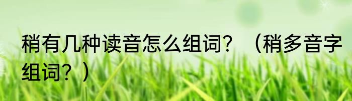 稍有几种读音怎么组词？（稍多音字组词？）