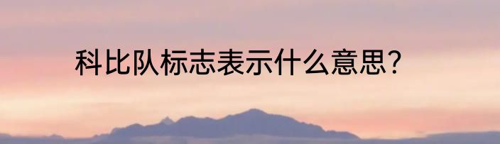 科比队标志表示什么意思？