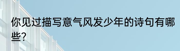 你见过描写意气风发少年的诗句有哪些？