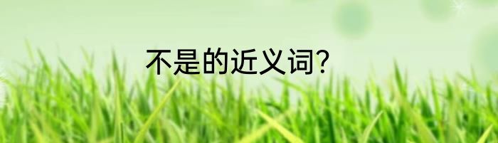 不是的近义词？