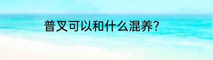 普叉可以和什么混养？