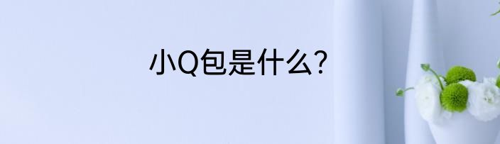 小Q包是什么？