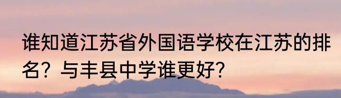 谁知道江苏省外国语学校在江苏的排名？与丰县中学谁更好？