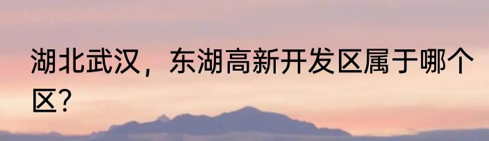湖北武汉，东湖高新开发区属于哪个区？